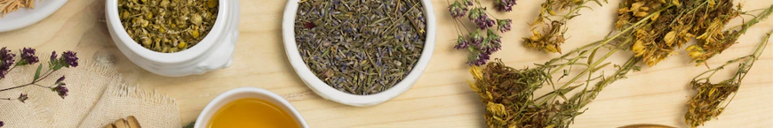 Erbe officinali ed erboristeria
