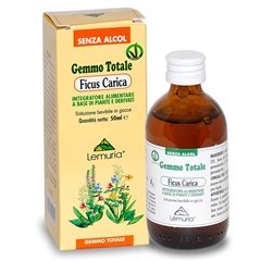 Estratto Totale di Ficus Carica gemme - 100 ml