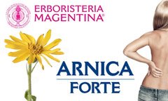 Arnica: il fiore alleato della salute