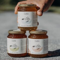 Miele di Melata da agricoltura biologica - 500 g