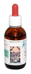 Estratto Spagirico di Ceterach (Spaccapietre)- 50ml